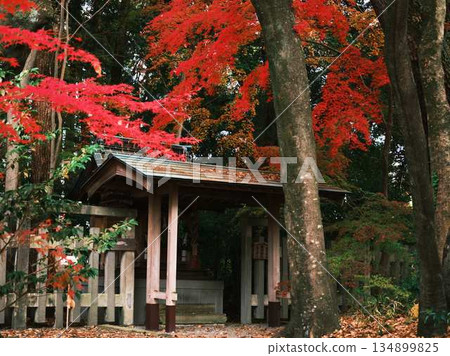 Nara Prefecture Autumn leaves Nara Prefecture Autumn leaves 134899825
