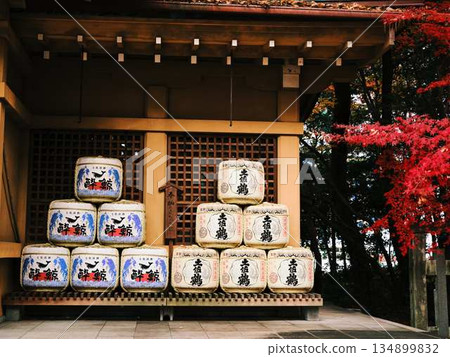 Nara Prefecture Autumn leaves 134899832