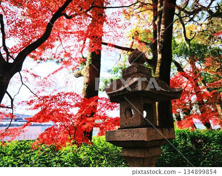 Nara Prefecture Autumn leaves Nara Prefecture Autumn leaves 134899854
