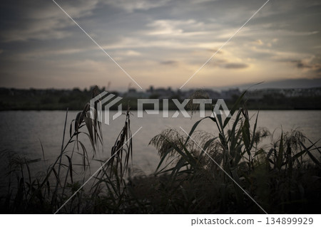 Evening view of the fields, riverbed Evening view of the fields, riverbed 134899929