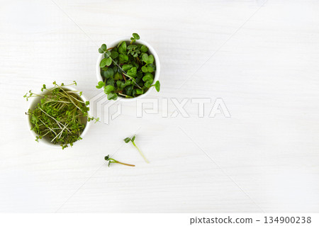 Sprouts microgreens. Vegan and healthy eating concept. Sprouts microgreens. Vegan and healthy eating concept. 134900238