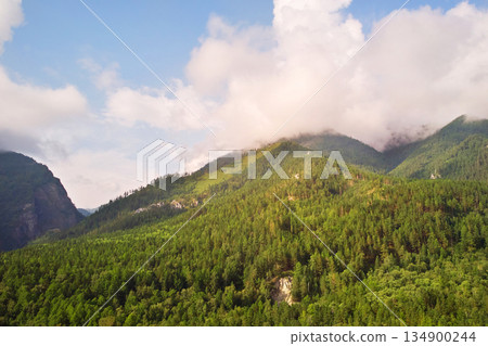 Beautiful mountain landscape. Forest on a sunny summer day 134900244