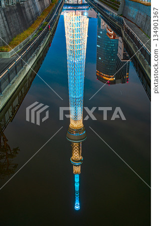 從直劍橋看到的東京晴空塔倒置夜景 134901367
