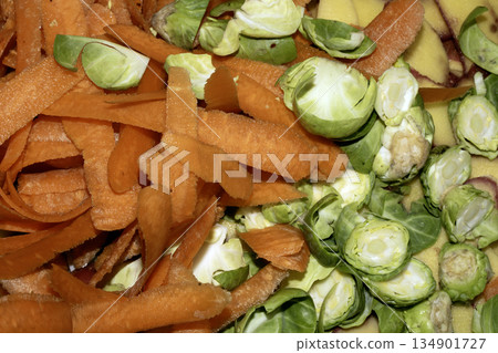 Close up of carrot and sprouts scrap peelings food waste for compost on white background 134901727