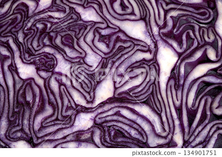 Close up of the inside detail of a red cabbage decorative Close up of the inside detail of a red cabbage decorative 134901751