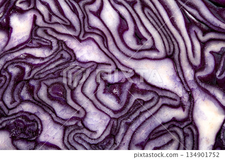 Close up of the inside detail of a red cabbage decorative Close up of the inside detail of a red cabbage decorative 134901752