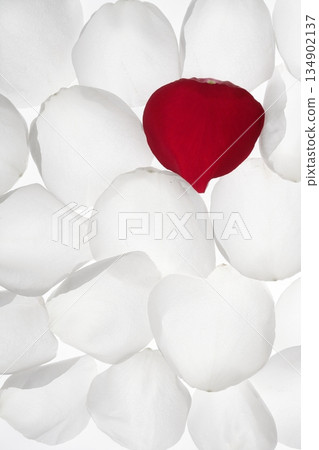 Unique, alone red petal between white pattern Unique, alone red petal between white pattern 134902137