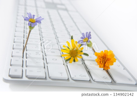 Concept of flowers growing from computer 134902142