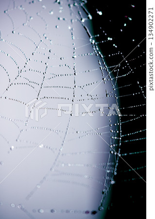 Spooky spiderweb spider web with water droplets close up background 134902271
