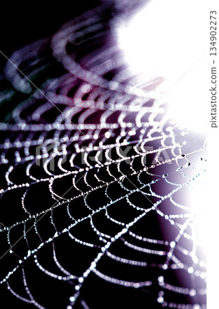 Spooky spiderweb spider web with water droplets close up background 134902273