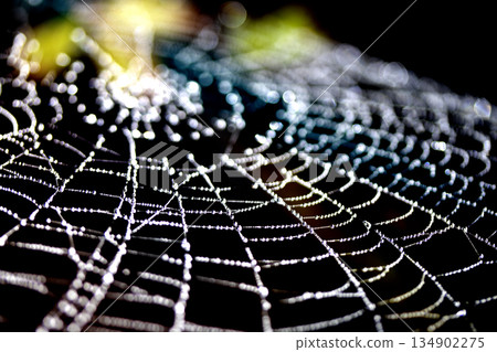 Spooky spiderweb spider web with water droplets close up background 134902275