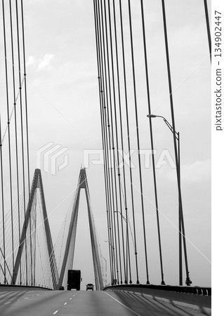 Black and white cable bridge in Texas 134902447