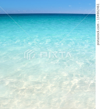 Caribbean turquoise sea beach shore white sand Caribbean turquoise sea beach shore white sand 134902461