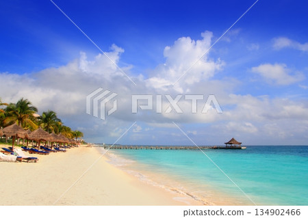 Mayan Riviera beach palm trees sunroof Caribbean 134902466