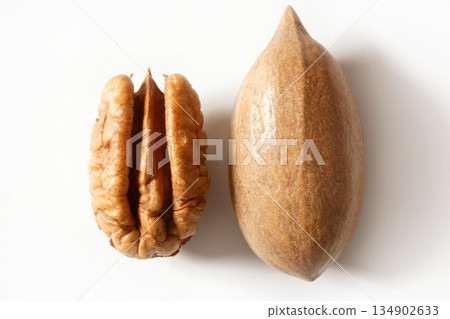 Pecan nut fruit and shell over white Pecan nut fruit and shell over white 134902633