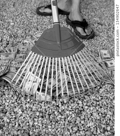 Cleaning black dolar money with rake, metaphor 134902647