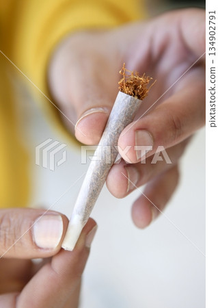 joint tobacco cigarette in hands just prepared 134902791