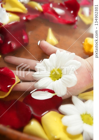 Aromatherapy, flowers hand bath, rose petal 134902801