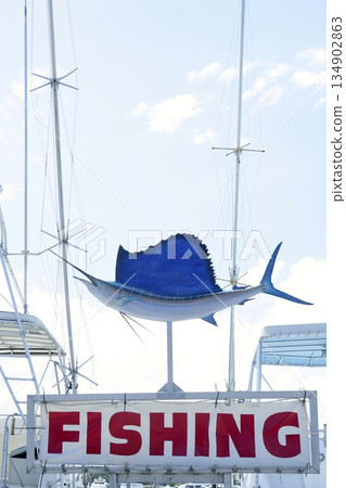 Blue sailfish over fishing copy text on florida Blue sailfish over fishing copy text on florida 134902863