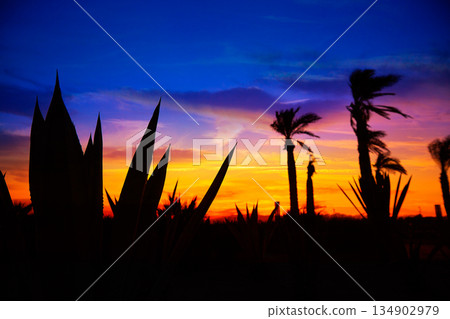 Almeria Cabo de Gata sunset in Retamar beach Almeria Cabo de Gata sunset in Retamar beach 134902979