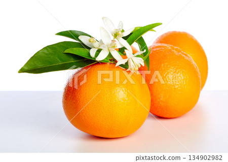 Oranges with orange blossom flowers on white Oranges with orange blossom flowers on white 134902982