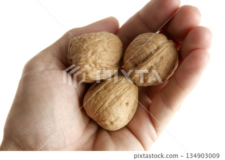 Human hand holding three walnut Human hand holding three walnut 134903009