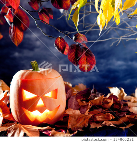 halloween lantern pumpkin in dark sky clouds halloween lantern pumpkin in dark sky clouds 134903251