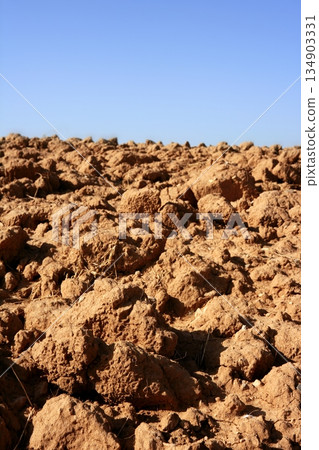 Clay red agriculture textured soil Clay red agriculture textured soil 134903331