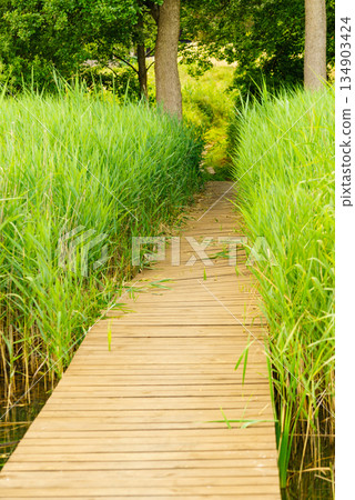 Wooden pier on lake shore Wooden pier on lake shore 134903424