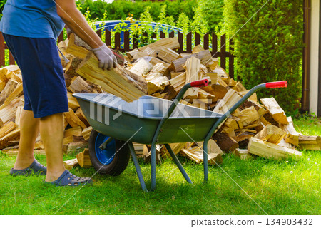 Man loading firewood on wheelbarrow 134903432