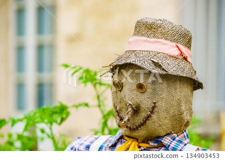 Happy doll for garden decoration. Happy doll for garden decoration. 134903453