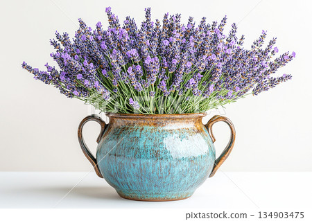 Blossom plant . Gardening concept. Ceramic vase in village style with lavender plant with purple flowers on a white background. Herb bush in pot. Blossom plant . Gardening concept. Ceramic vase in village style with lavender plant with purple flowers on a white background. Herb bush in pot. 134903475