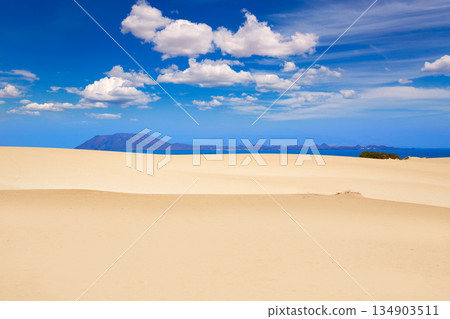 Corralejo dunes Fuerteventura island desert Corralejo dunes Fuerteventura island desert 134903511