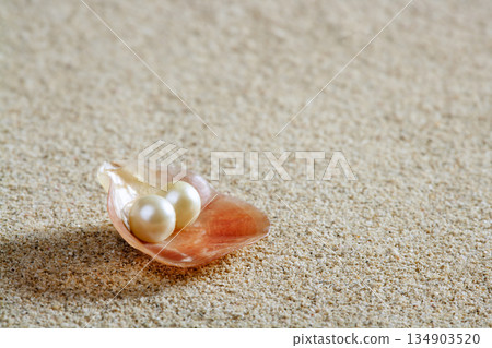 beach white sand pearl shell clam macro beach white sand pearl shell clam macro 134903520