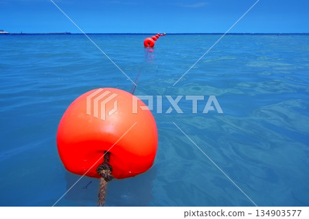 red buoy row floating blue sea with rope closeup red buoy row floating blue sea with rope closeup 134903577