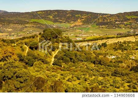 Ronda green valley, Andalusia, Spain. Ronda green valley, Andalusia, Spain. 134903608