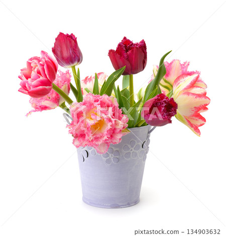 Pink and Red Tulips Bouquet in Decorative Metal Bucket Isolated on White Background with Copy Space Representing Spring Flowers, Floral Arrangement, Fresh Bloom, and Elegant Still Life Pink and Red Tulips Bouquet in Decorative Metal Bucket Isolated on White Background with Copy Space Representing Spring Flowers, Floral Arrangement, Fresh Bloom, and Elegant Still Life 134903632