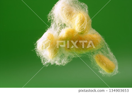 yellow silkworm cocoon over green yellow silkworm cocoon over green 134903653