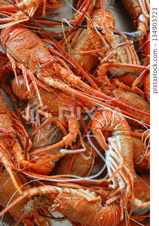 seafood in market over ice seafood in market over ice 134903723