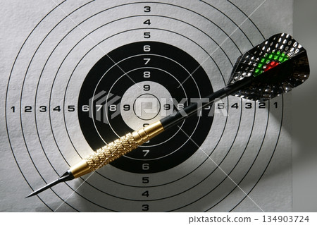Black and white target with dart and shadows Black and white target with dart and shadows 134903724
