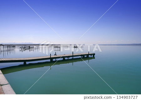 Albufera Valencia lake wetlands mediterranean Spain 134903727