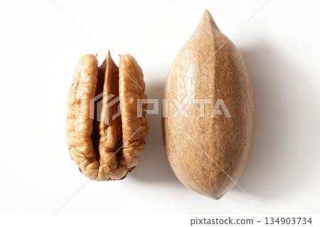 Pecan nut fruit and shell over white Pecan nut fruit and shell over white 134903734
