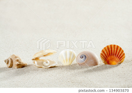 beach summer vacation background shell pearl clam 134903870