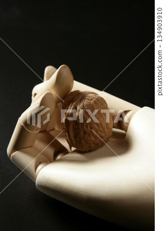 Mannequin wooden hand holding one walnut Mannequin wooden hand holding one walnut 134903910