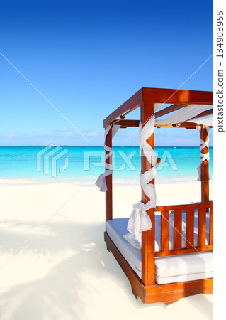 bed of wood in beach caribbean sea sand 134903955