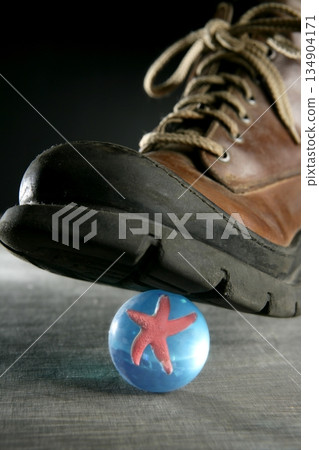 boot treading a red starfish 134904171