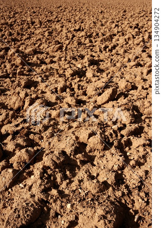 Clay red agriculture textured soil Clay red agriculture textured soil 134904272