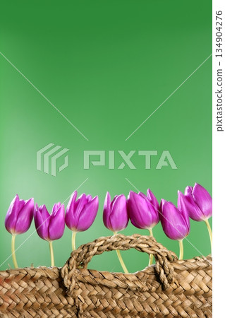 basket pink tulips flowers in a row group line 134904276