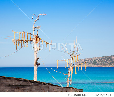 Dried fish peix sec typical Balearic salted food 134904303