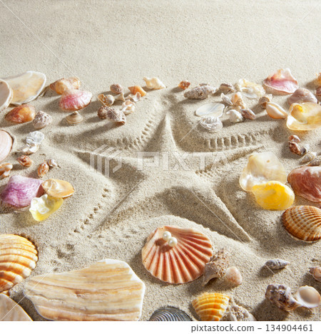 beach white sand starfish print many clam shells 134904461